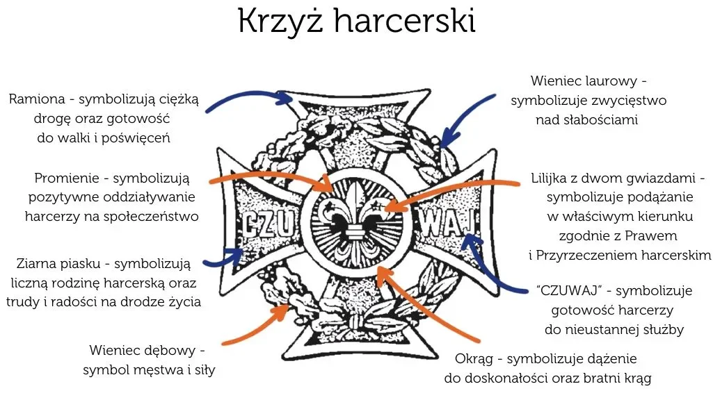 Strona-internetowa-projekty-antek-_5_ Strona-internetowa-projekty-antek-_5_